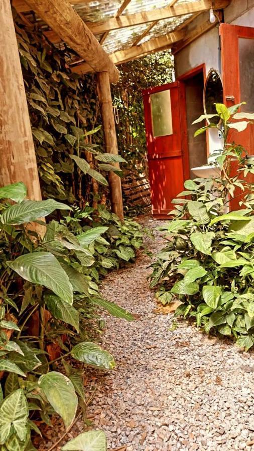 Florianópolis Villa Morena Benessere מראה חיצוני תמונה