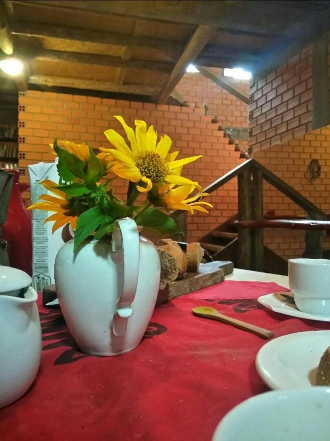 Florianópolis Villa Morena Benessere מראה חיצוני תמונה