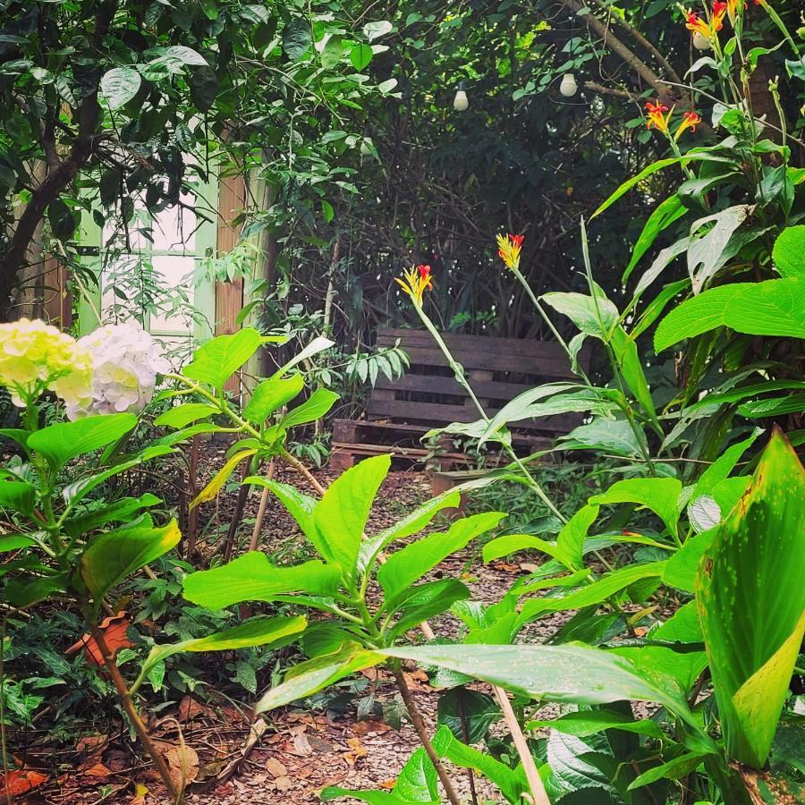 Florianópolis Villa Morena Benessere מראה חיצוני תמונה