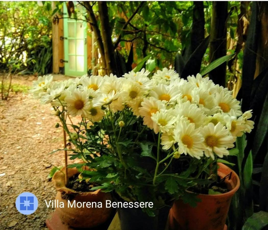 Florianópolis Villa Morena Benessere מראה חיצוני תמונה