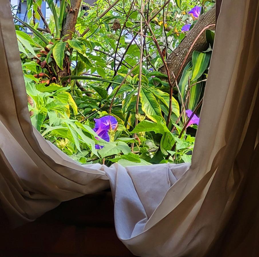 Florianópolis Villa Morena Benessere מראה חיצוני תמונה