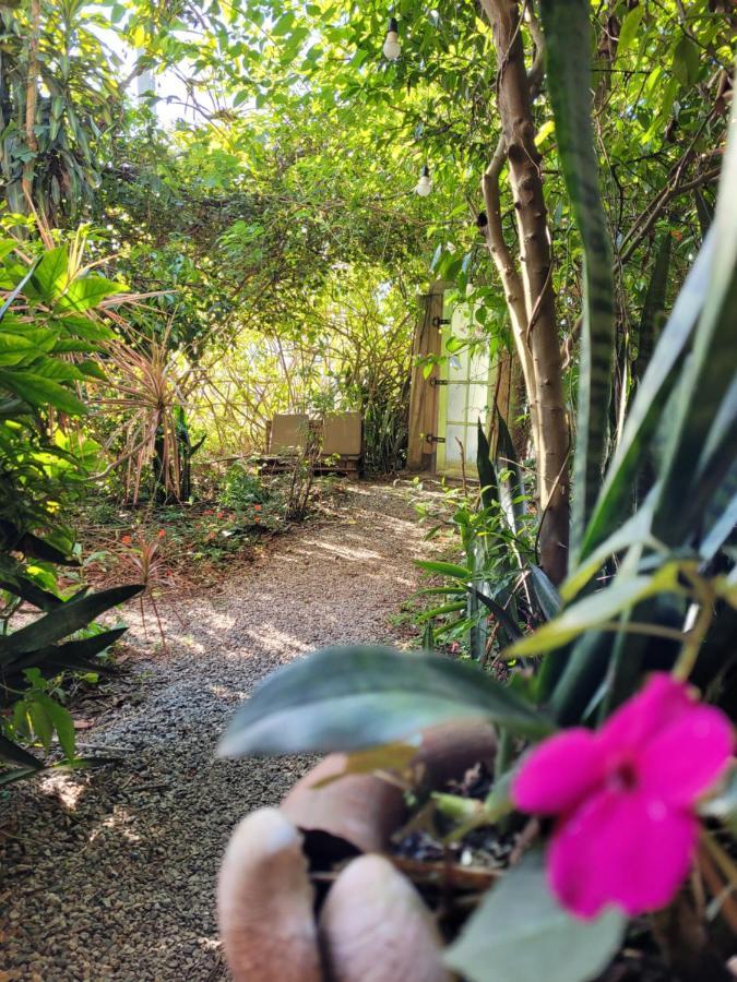 Florianópolis Villa Morena Benessere מראה חיצוני תמונה
